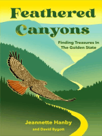 Feathered Canyons: Finding Treasures in the Golden State