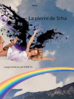 La pierre de Srha: l'ange tombé du ciel TOME VI