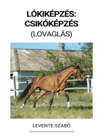 Lókiképzés: Csikóképzés (Lovaglás)