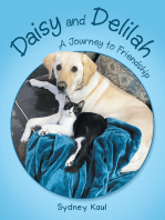 Daisy and Delilah: A Journey to Friendship