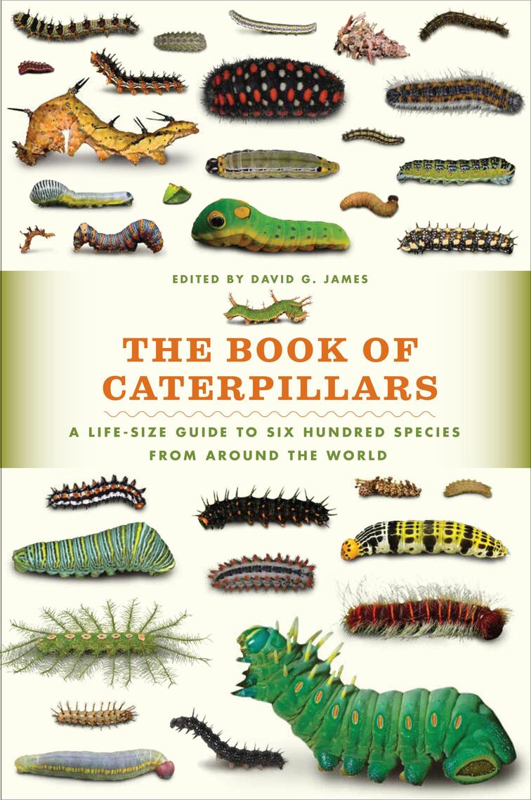 The Book of Caterpillars by David James (Ebook) Read free for