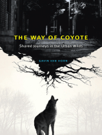 The Way of Coyote: Shared Journeys in the Urban Wilds