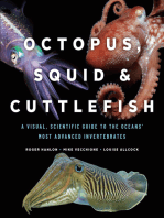 Octopus, Squid & Cuttlefish: A Visual, Scientific Guide to the Oceans’ Most Advanced Invertebrates
