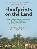 Hoofprints on the Land: How Traditional Herding and Grazing Can Restore the Soil and Bring Animal Agriculture Back in Balance with the Earth