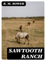 Sawtooth Ranch