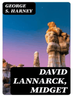 David Lannarck, Midget: An Adventure Story
