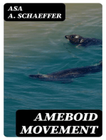 Ameboid movement