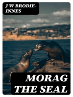 Morag the Seal