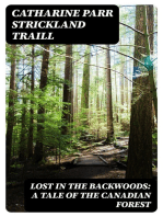 Lost in the Backwoods
