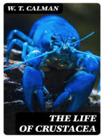 The Life of Crustacea