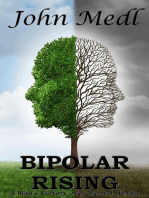 Bipolar Rising: A Man's Victory Over Mental Health: Workings of a Bipolar Mind, #7