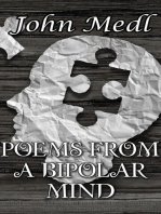 Poems from a Bipolar Mind