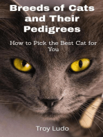 Breeds of Cats and Their Pedigrees