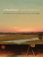 A Marsh Island