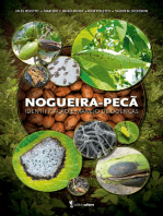 Nogueira-pecã