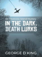 An Okaloosa Island Mystery: IN THE DARK, DEATH LURKS