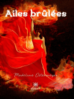 Ailes brûlées