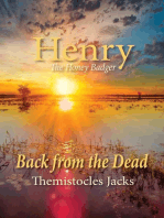 Henry The Honey Badger: Back from the Dead