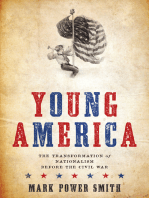 Young America: The Transformation of Nationalism before the Civil War