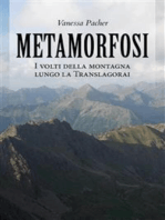 Metamorfosi: I volti della montagna lungo la Translagorai