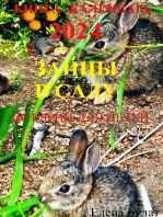 Книга-Календарь 2024 Зайцы в Саду. Истории для детей