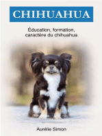 Chihuahua : Éducation, Formation, Caractére