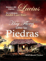 Hay Flores sobre las Piedras