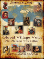 Global Village Voice: Not Needed, why bother