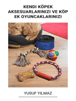 Kendi Köpek Aksesuarlarınızı ve Köpek Oyuncaklarınızı Yapın