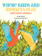 Where Birds and Monkeys Play: Rainforest Animals