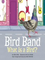 Bird Band: What is a Bird?