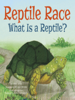 Reptile Race: What Is a Reptile?