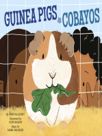 Guinea Pigs / Cobayos