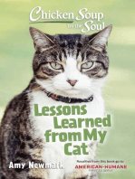 Chicken Soup for the Soul: Lessons Learned from My Cat: 101 Tales of Friendship & Fun  