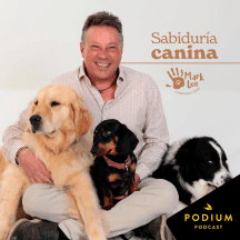 Sabiduría Canina