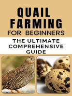 Quail Farming For Beginners:The Ultimate Comprehensive Guide