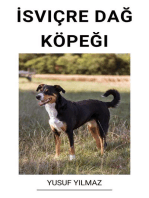 İsviçre Dağ Köpeği