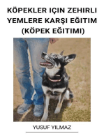 Köpekler Için Zehirli Yemlere Karşı Eğitim (Köpek Eğitimi)