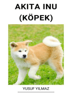 Akita Inu (Köpek)