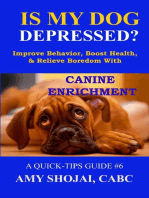 Is My Dog Depressed? Improve Behavior, Boost Health, and Relieve Boredom with Canine Enrichment
