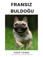 Fransız Buldoğu