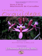 La Gruta de las Orquídeas: Vera Lúcia Marinzeck de Carvalho
