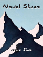 Novel Slices Issue 5