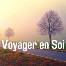 Voyager en Soi