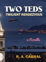 TWO TEDS ~ Twilight Rendezvous