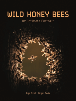 Wild Honey Bees: An Intimate Portrait