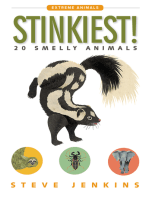 Stinkiest!: 20 Smelly Animals