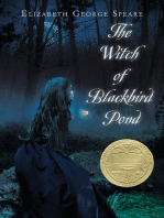 The Witch of Blackbird Pond: A Newbery Award Winner