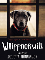 Whippoorwill