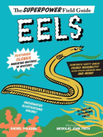 Eels